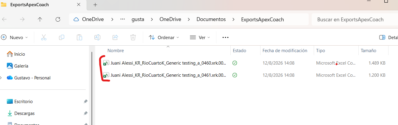 Windows folder showing the exported CSV files